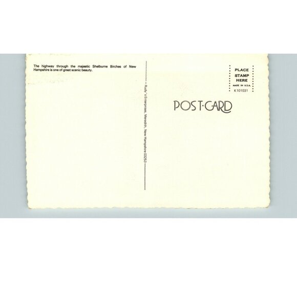 Shelburne Birches of New Hampshire The highway between Shelburne Postcard - Picture 2 of 2